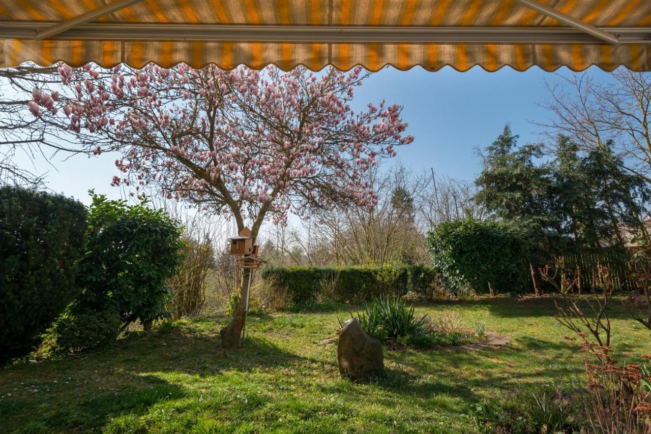 Fewo Oasis Mendig Exteriör bild